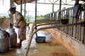 Local Thai worker closing milk container in the local cow milk farm at Rachaburi, Thailand July 27, 2017