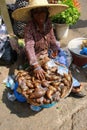 A local trader selling snails at a street market in Accra, Ghana Royalty Free Stock Photo