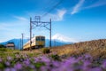 A local train of JR Izuhakone Tetsudo-Sunzu Line traveling through the countryside on a sunny spring day and Mt. Fuji in Mishima, Royalty Free Stock Photo