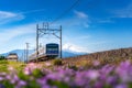 A local train of JR Izuhakone Tetsudo-Sunzu Line traveling through the countryside on a sunny winter day and Mt. Fuji in Mishima, Royalty Free Stock Photo