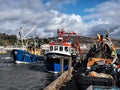 Local Trawlers - Lyme Regis Harbour Royalty Free Stock Photo