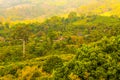 Local Village at Phu Langka National Park