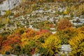 Local village surrounded by colorful trees in autumn season.