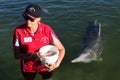 Local volunteer feeding Australian Humpback Dolphins Queensland Australia