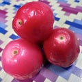 local water guava from Java Royalty Free Stock Photo