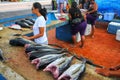 Local woman selling fish at the market in Puerto Ayora on Santa