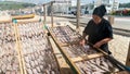 Local woman by the traditional fish-drying on the beach of Nazare, Portugal, a fishermen village on the Atlantic coast