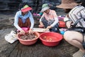 Local women selling fresh seasnails and oysters at Yongmeori Beach, Sanbang-ro, Jeju Island, South Korea Royalty Free Stock Photo