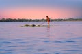 Local worker collecting weed from the fresh water on Inle Lake, Myanmar Royalty Free Stock Photo