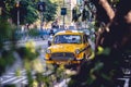 Local Yellow taxi on the street in Kolkata India Royalty Free Stock Photo