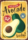 Locally grown avocado vector illustration layout