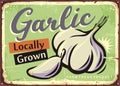 Locally grown garlic retro sign design