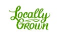 Locally Grown, vector logo template. Hand Drawn brush lettering with plant. Label, brand emblem for organic food Royalty Free Stock Photo