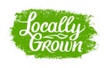 Locally Grown, vector logo template. Hand Drawn brush lettering with plant. Label, brand emblem for organic food Royalty Free Stock Photo