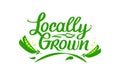Locally Grown, vector logo template. Hand drawn lettering with green peas. Label, brand emblem for organic food Royalty Free Stock Photo