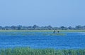 LOCALS ON THE CHOBE RIVER IN A MOKORO BOAT Royalty Free Stock Photo