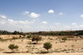 Locals having picnics under the shade of the trees in the Wadi Hanifa, near Riyadh