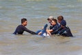 locals and tourists helping refloated pilot whales off the beach and out to sea