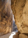 Locals and tourists near The Treasury. Petra. Jordan.