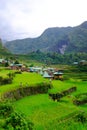 Locals walking in the rice terraces of Batad in Banaue, Ifugao, Philippines