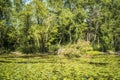 Locas Island of the Des Milles Iles river in Laval