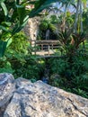 Small waterfall and bridge in botanical garden Royalty Free Stock Photo