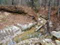 Boykin Springs Recreation Area in Texas Royalty Free Stock Photo