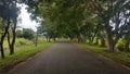Beautiful road in sri lanaka