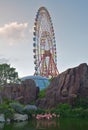 During sunset, ferris wheel behind cliff and pink flamingo birds on water on Vinpearl Hon Tre Island, Nha Trang, Vietnam