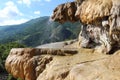 Petrified Fountain of RÃÂ©otier, Hautes-Alpes in France Royalty Free Stock Photo