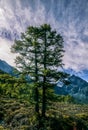 Tibetan Plateau Scenery Royalty Free Stock Photo