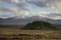 Bogland at the edge of Wild Nephin National Park in Ireland.