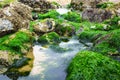 Tide pools close up at low tide Royalty Free Stock Photo