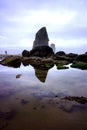 Rocky Seashore Tide pool vertical Royalty Free Stock Photo