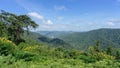 Location photos Khao Yai view point Moist rainforest Filled with various green trees Rich natural atmosphere Royalty Free Stock Photo