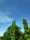 Clear skies in the city of Parepare, South Sulawesi - Indonesia