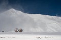 Locators on the Cross Pass in winter