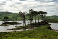 Loch Assynt is in the geo park, Inchnadamph, Sutherland, Scotland, U.K.. Royalty Free Stock Photo