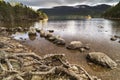 Loch an Eilein at Aviemore in the Highlands of Scotland. Royalty Free Stock Photo