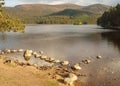 Loch an Eilein, Scotland Royalty Free Stock Photo