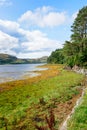 Loch Ewe and Inverwe Gardens, Scotland Royalty Free Stock Photo