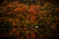 Loch Faskally, Scotland Royalty Free Stock Photo