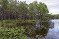 Loch Garten