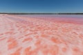 Loch Lel - pink lake in Australia. Royalty Free Stock Photo