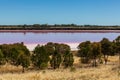 Loch Lel - pink lake in Australia. Royalty Free Stock Photo