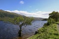 Loch Lomond from Firkin Point Royalty Free Stock Photo