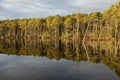 Loch Mallachie in the Cairngorms National Park of Scotland