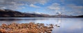 Loch Maree landscape