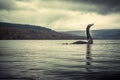 Loch Ness monster Nessie in the lake. Generative AI