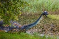 Loch Ness Monster Sculpture in Drumnadrochit, Scotland